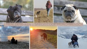 Leben erfahren | Spiegelcode Hund-Mensch